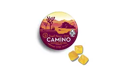 Logo for Gummies - Pineapple Habanero Uplifting Gummies 20pk
