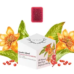 Logo for Gummies - Pomegranate Restore Gummies