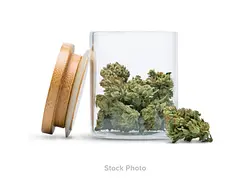 Logo for  - Lemon Lime 5 Pack Moonrock Pre Rolls By