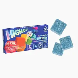 Logo for Gummies - Blueberry Sour Gummies 10pk
