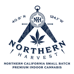 Logo for  - Permanent Runtz