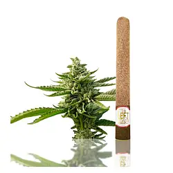 Logo for Infused - Strawberry Banana Infused Blunt Roll