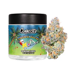 Logo for  - Connected Indoor Flower Tropical Z