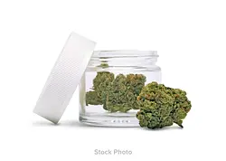 Logo for  - Premium Flower Cap Junky