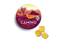 Logo for Gummies - Camino Pineapple Habanero Uplifting Gummies