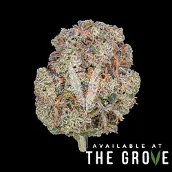 Logo for  - Blueberry Haze Flower