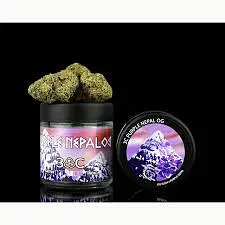 Logo for  - 3c Flower Purple Nepal Og