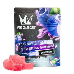 Logo for Gummies - Blueberry Solventless Gummies Flavored 10 Pieces Mylar