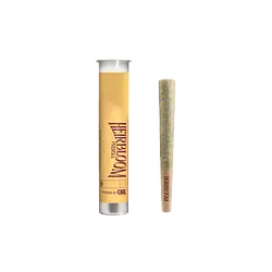 Logo for  - Sfv Og Preroll