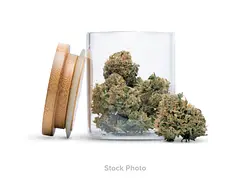 Logo for shaketrim - Sugar Shake Ryo Kush Mints