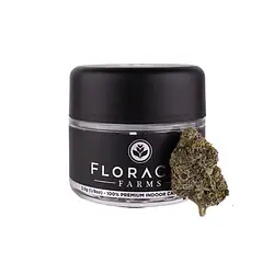 Logo for  - Floracal Flower Astro Pop
