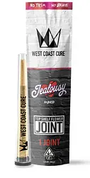 Logo for singles - Jealousy Preroll