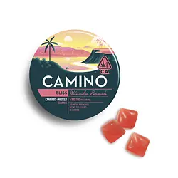 Logo for Gummies - Watermelon Lemonade Bliss Thc 20pk Gummy