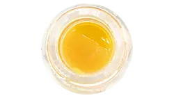 Logo for concentratesoil - Orange Cream Pop Lr