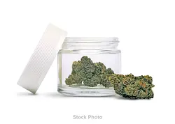 Logo for  - Heirbloom Green Crack Indoor