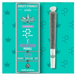Logo for Infused - Preroll Xj13 Preroll