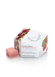 Logo for Gummies - Strawberry 20cbd:1thc Gummies