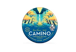 Logo for Gummies - Mango Serenity Balance Gummies 20pk Cbd 1:1