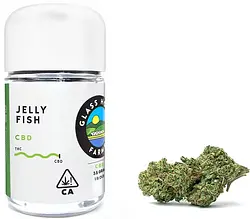 Logo for  - Jellyfish 3.5 Cbd Glass House