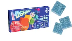 Logo for Gummies - Blueberry Sour Gummies 10pc