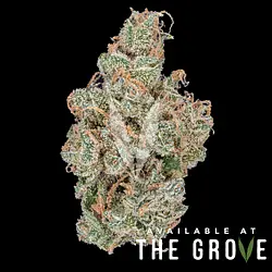 Logo for  - Heirbloom Super Silver Haze 18th