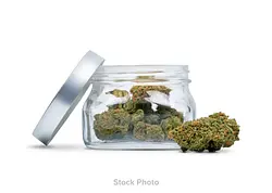 Logo for  - Flower Tub Indoor That Badu