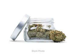 Logo for  - Creme De Canna Terpys Infused Flower Og Kush
