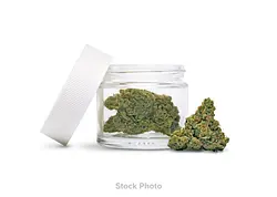 Logo for Premium Indoor Flower - Indoor Flower Biskante