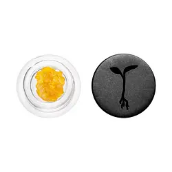 Logo for  - Rose Sorbet Live Resin