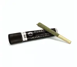 Logo for Pre Roll - Maui Punch