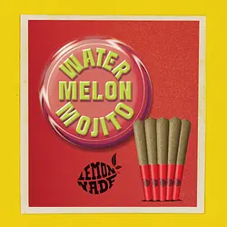 Logo for singles - Watermelon Mojito Multi Infused 5pk