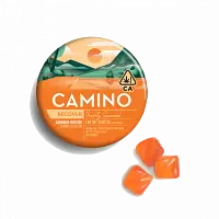 Logo for  - Camino Recover Freshly Squeezed