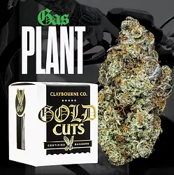 Logo for  - Gold Cuts The Judge