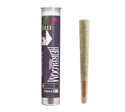 Logo for singles - Sfv Og . Preroll