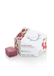 Logo for Gummies - Raspberry Gummies 10pk