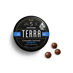 Logo for Chocolates - Blueberry Bites