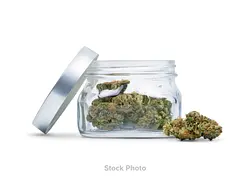 Logo for  - Blue Dream 2pk
