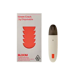 Logo for Classic Surf Allinone - Green Crack