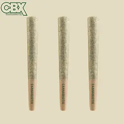 Logo for 4 Pack Pre Roll - L'orange