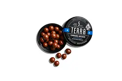 Logo for Chocolates - X 20pk Bites Milk Chocolate Blueberries