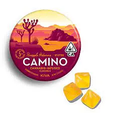 Logo for Gummies - Pineapple Habanero Camino Gummies