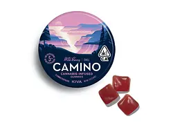 Logo for Gummies - Camino Wild Berry Chill Gummies